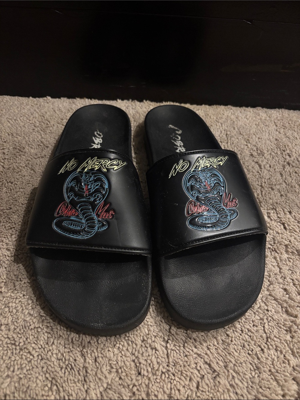 Champion Cobra Kai Slides